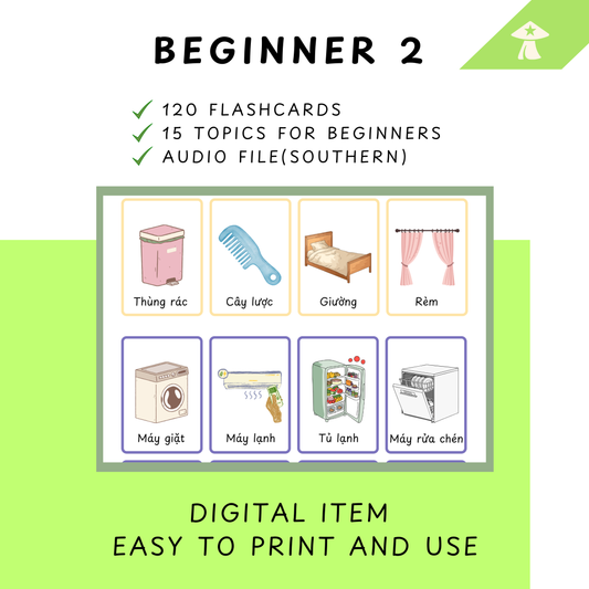 B2 Flashcards + Audio File